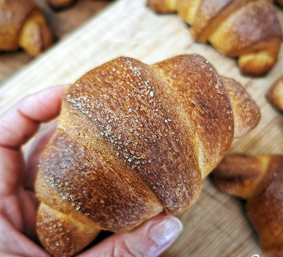 img of La tattica della brioche
