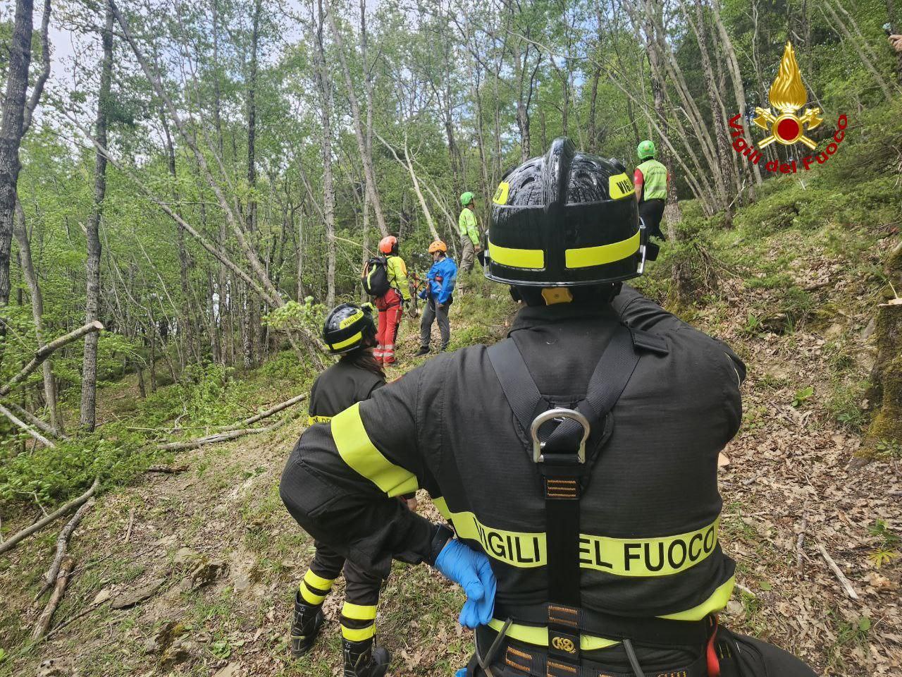 img of Cade in un sentiero in Val Di Covile salvata dai Vigili del Fuoco
