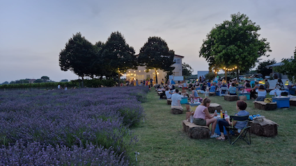 img of A Forlì un pic-nic benefico tra i fiori di lavanda
