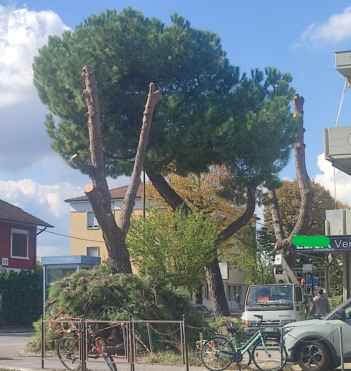 Europa Verde: “A Forlimpopoli si continua a massacrare il territorio, ora tocca agli alberi”