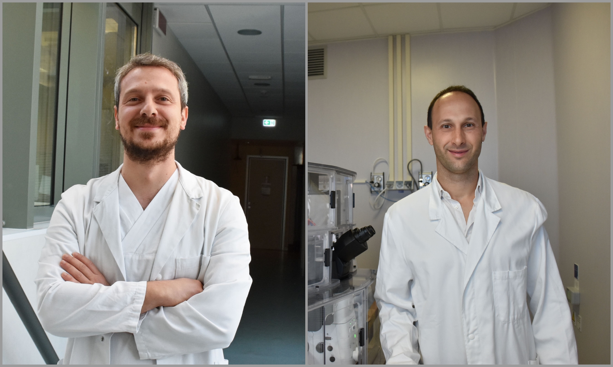 Due ricercatori Irst nella top 2% mondiale redatta da Stanford University ed Elsevier