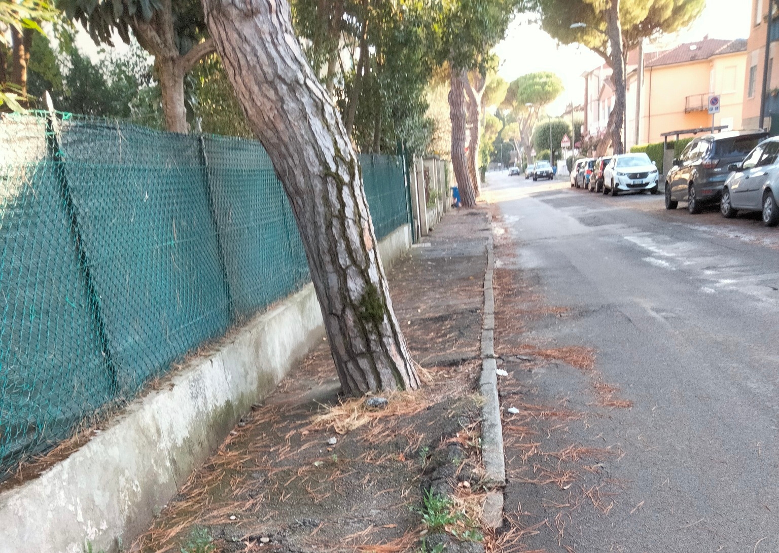 A Forlì via Piancastelli non porta a Roma