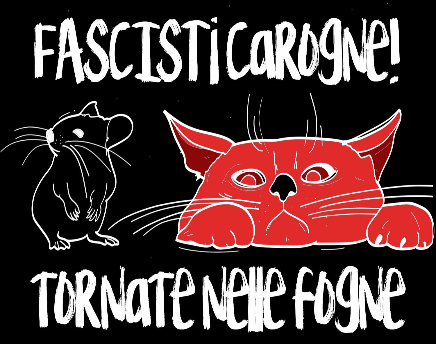 A Meldola topi carogne tornate nelle fogne?