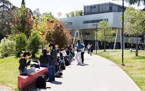 “Turbe da passeggio” a Forlì: la prima passeggiata a tema “Partecipazione Attiva”