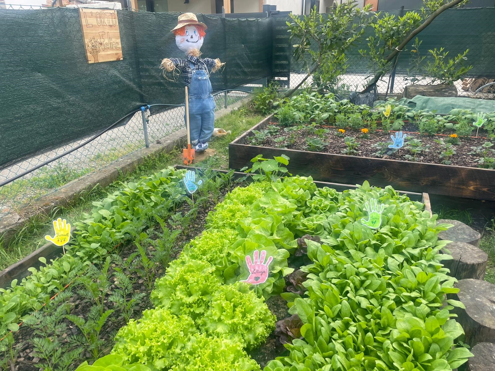Nasce l’Orto Felice”: alla scuola dell’infanzia “L’Albero Felice” di San Lorenzo in Noceto