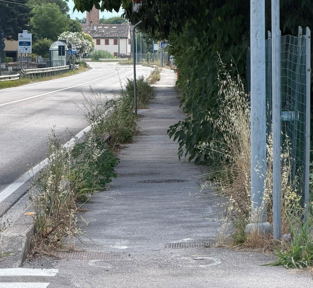 Ciclisti costretti a zigzagare tra le sterpaglie: cresce il malcontento