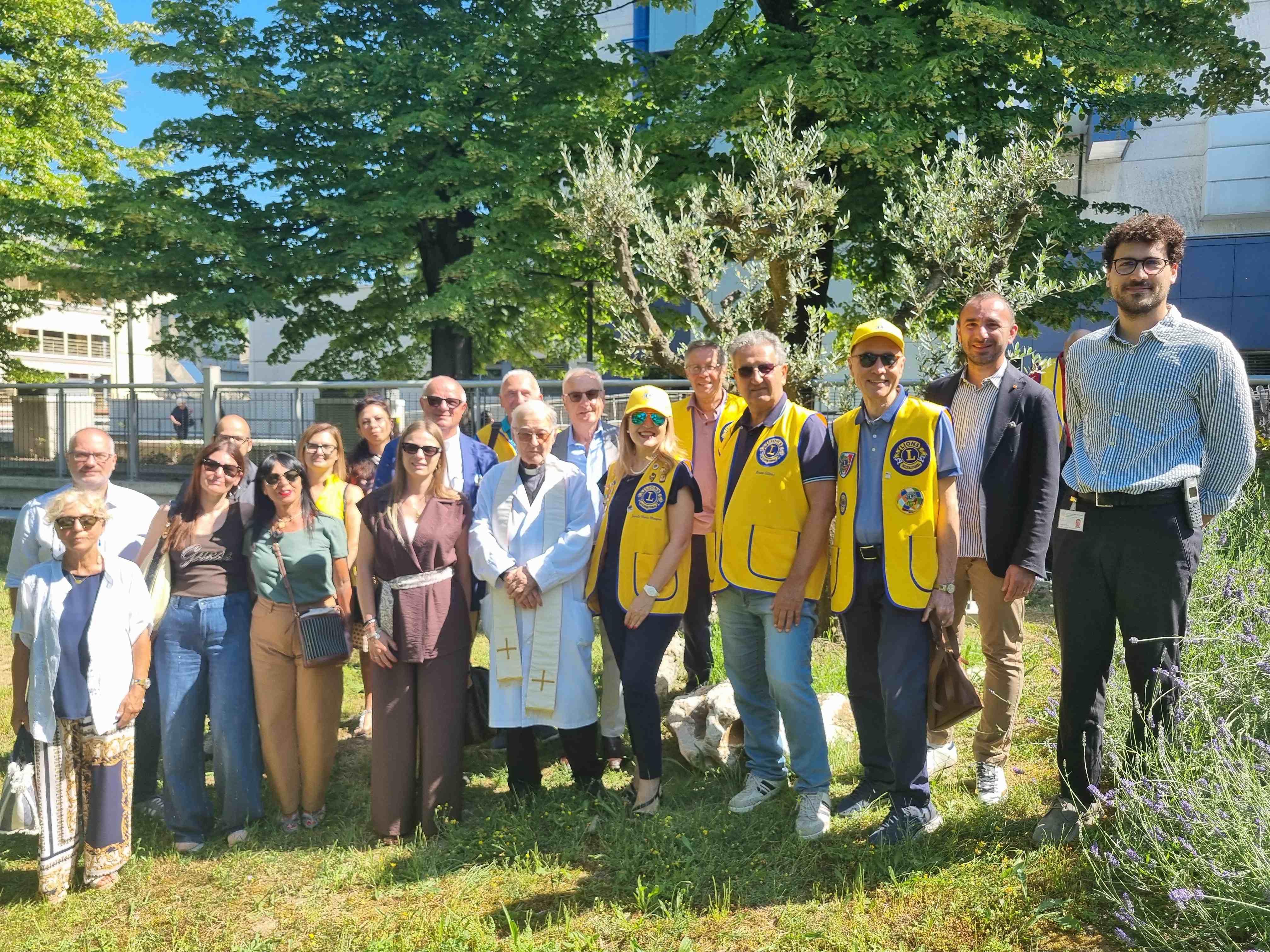 Messo a dimora dai Lions e mondo agricolo un ulivo per il parco del Morgagni-Pierantoni