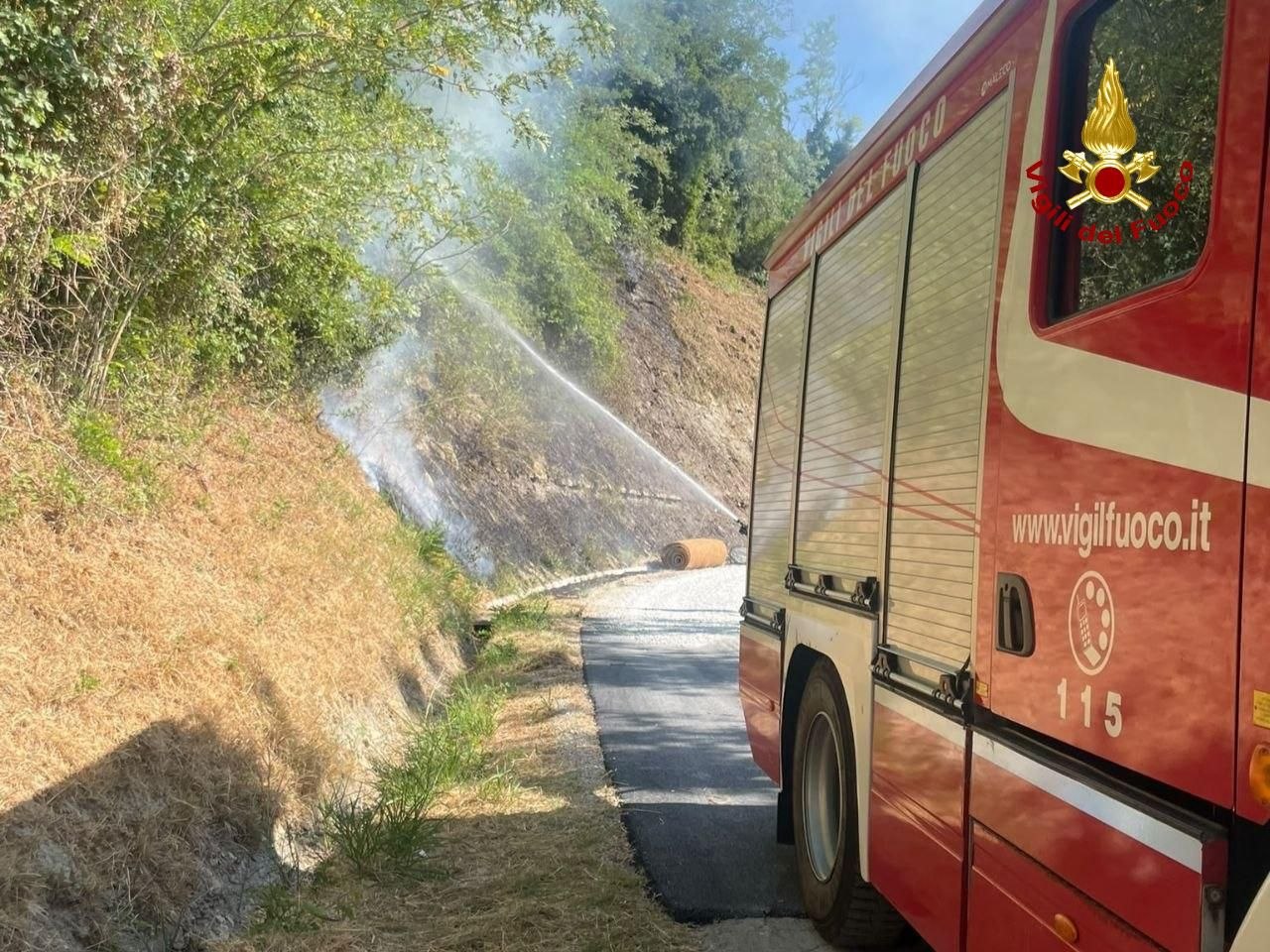 Fiamme vicino a un boschetto di Dovadola: l’intervento dei Vigili del Fuoco evita il peggio