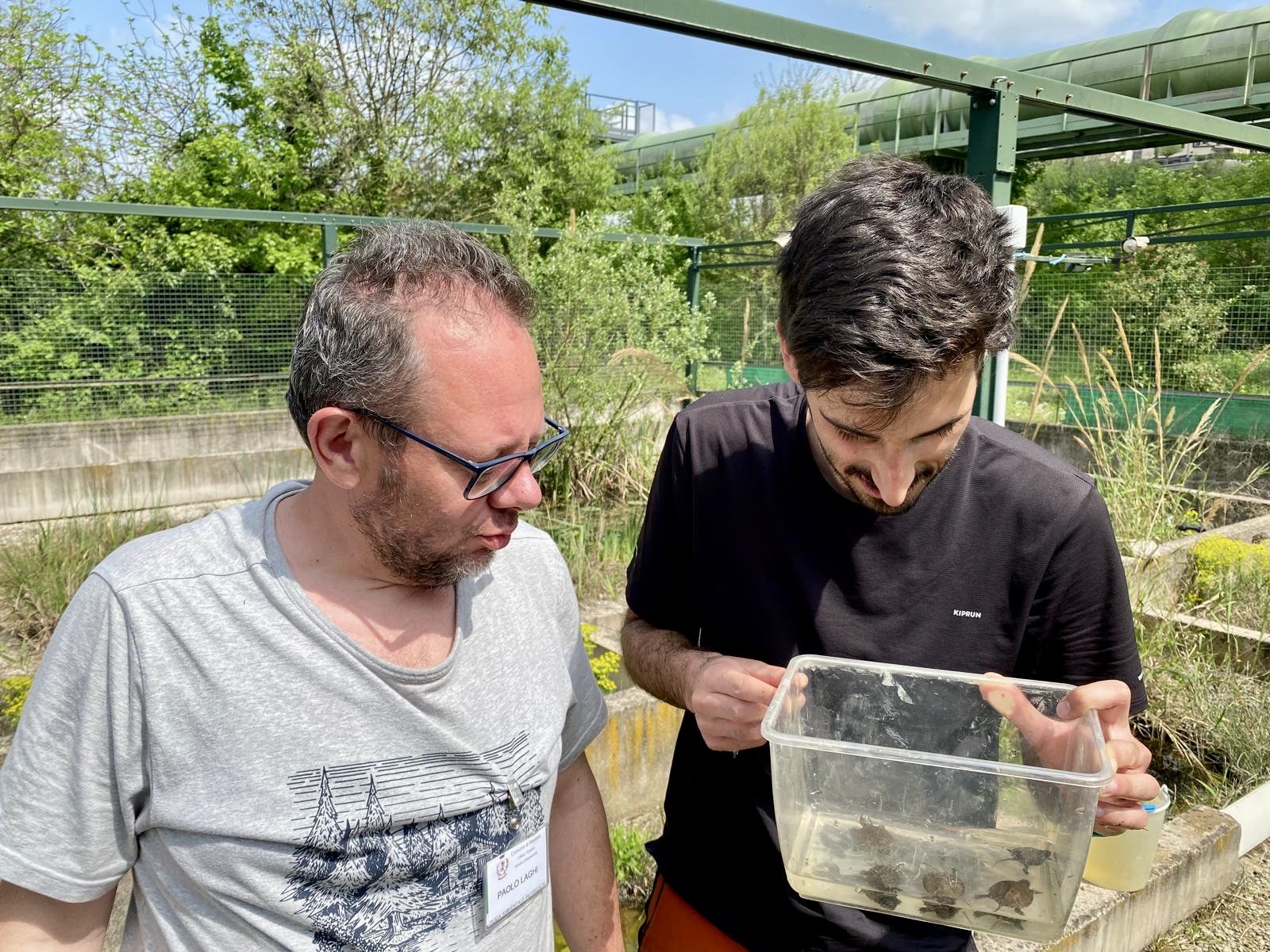 Dieci testuggini nate al Parco delle Fonti: un segnale di rinascita per la biodiversità