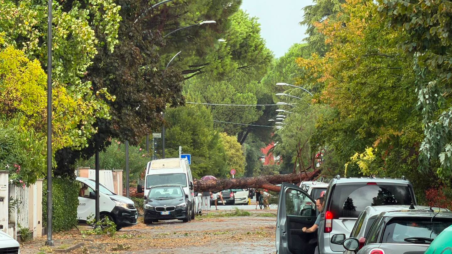 Forte vento e alberi sulle strade: già 40 interventi dei Vigili del Fuoco