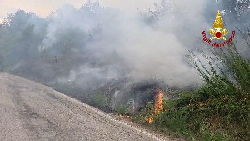 Paura a Monte Maggio: rogo di vegetazione domato dai Vigili del Fuoco