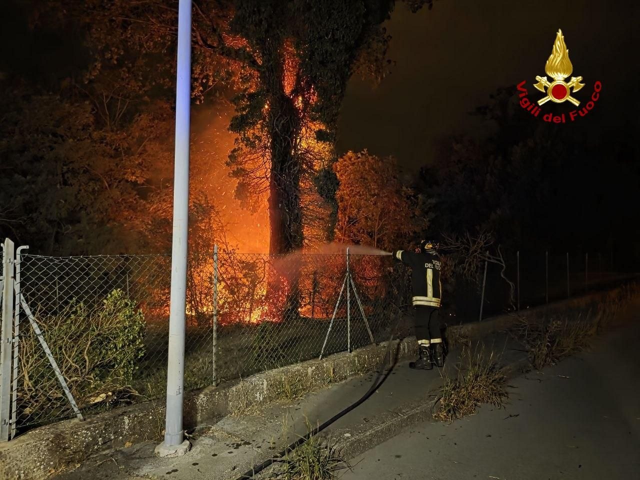 Fulmine cade nel parco Paul Harris: fiamme e paura nella notte a Forlì
