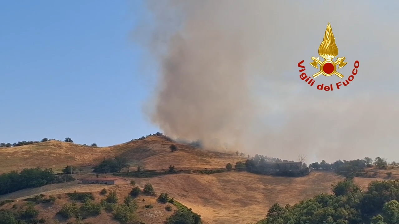 Incendio boschivo a Montevecchio, mobilitati 25 pompieri e due mezzi aerei