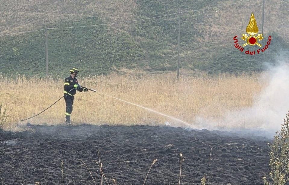 Incendio di vegetazione a Montemaggiore: bruciati 5.000 metri quadri