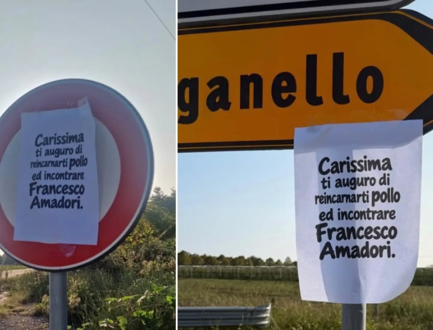 A Forlimpopoli cartelli anonimi contro la sindaca Garavini: solidarietà dalla maggioranza