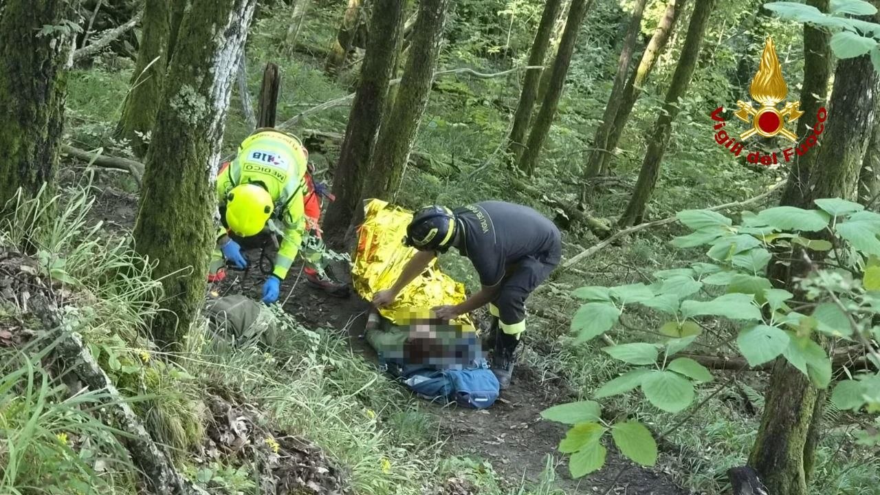 Attaccati dai calabroni durante un’escursione: intervengono Vigili del Fuoco e 118
